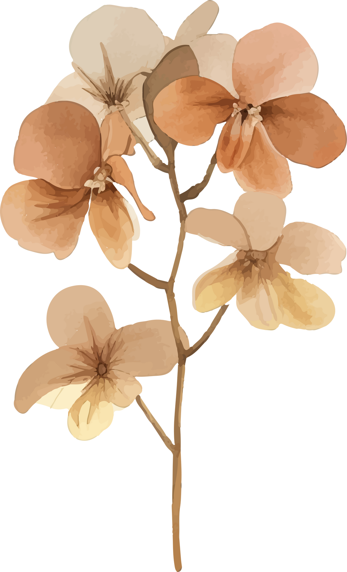 Aesthetic Brown Flower Watercolor